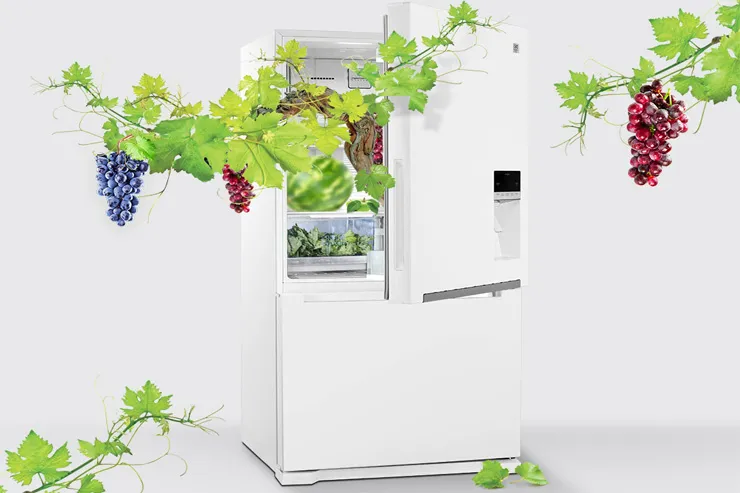 یخچال فریزر کمبی دوو