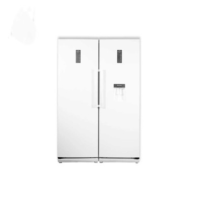 یخچال فریزر دو قلو دیپوینت مدل D4EH-W